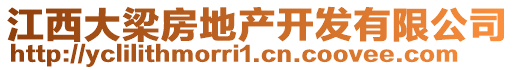 江西大梁房地產(chǎn)開(kāi)發(fā)有限公司