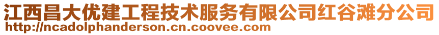 江西昌大優建工程技術服務有限公司紅谷灘分公司