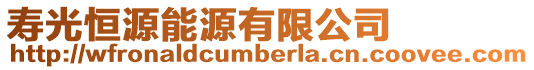 壽光恒源能源有限公司