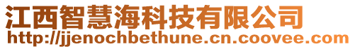 江西智慧海科技有限公司