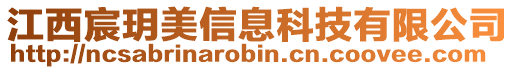 江西宸玥美信息科技有限公司