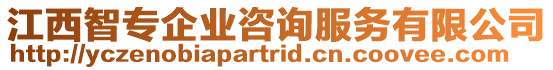 江西智專企業(yè)咨詢服務(wù)有限公司