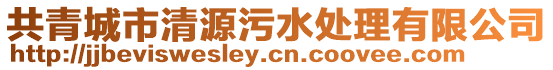 共青城市清源污水處理有限公司