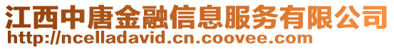 江西中唐金融信息服務有限公司