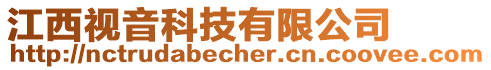 江西視音科技有限公司
