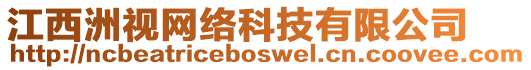 江西洲視網(wǎng)絡(luò)科技有限公司