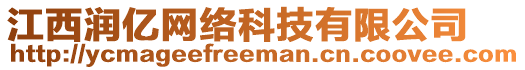 江西润亿网络科技有限公司