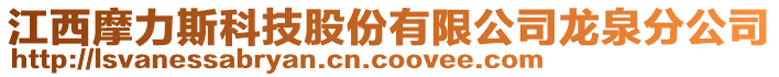 江西摩力斯科技股份有限公司龙泉分公司