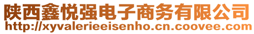 陜西鑫悅強電子商務有限公司