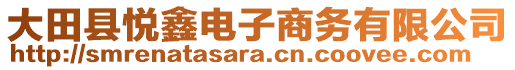 大田縣悅鑫電子商務(wù)有限公司