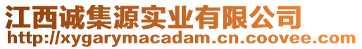 江西誠(chéng)集源實(shí)業(yè)有限公司