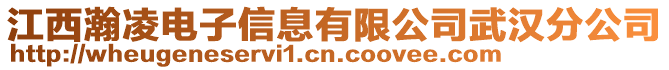 江西瀚凌電子信息有限公司武漢分公司