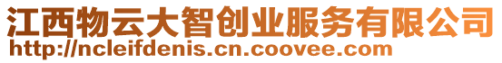 江西物云大智創(chuàng)業(yè)服務(wù)有限公司