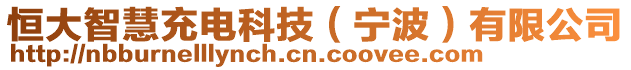 恒大智慧充電科技（寧波）有限公司