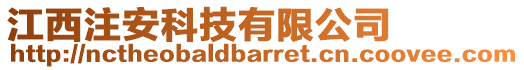 江西注安科技有限公司