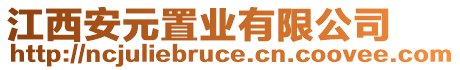 江西安元置業(yè)有限公司