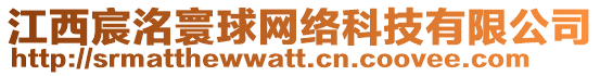 江西宸洺寰球網絡科技有限公司