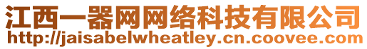 江西一器網網絡科技有限公司