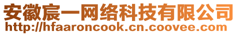 安徽宸一網(wǎng)絡(luò)科技有限公司