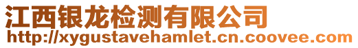 江西銀龍檢測有限公司