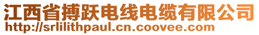 江西省搏躍電線電纜有限公司