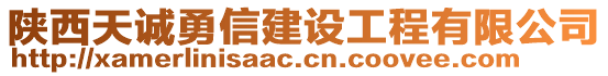 陕西天诚勇信建设工程有限公司