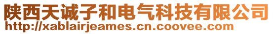 陕西天诚子和电气科技有限公司