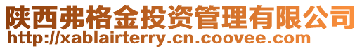 陜西弗格金投資管理有限公司