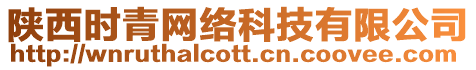 陜西時青網絡科技有限公司