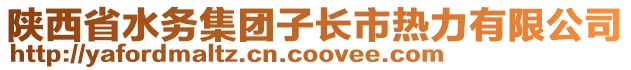 陜西省水務(wù)集團(tuán)子長(zhǎng)市熱力有限公司