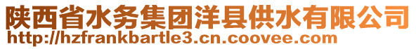 陜西省水務集團洋縣供水有限公司