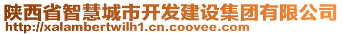 陜西省智慧城市開(kāi)發(fā)建設(shè)集團(tuán)有限公司