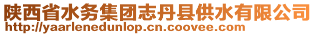 陜西省水務(wù)集團(tuán)志丹縣供水有限公司