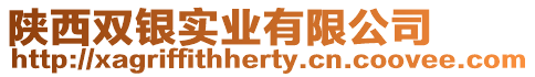 陜西雙銀實業有限公司