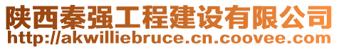 陜西秦強工程建設有限公司