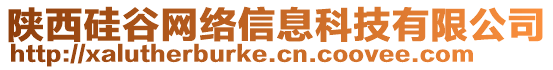 陜西硅谷網絡信息科技有限公司
