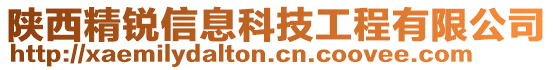 陜西精銳信息科技工程有限公司