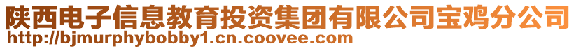 陜西電子信息教育投資集團有限公司寶雞分公司