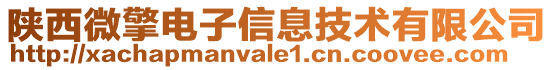 陜西微擎電子信息技術有限公司