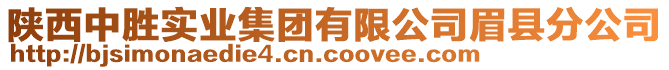 陜西中勝實業(yè)集團有限公司眉縣分公司