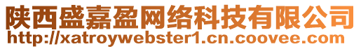 陜西盛嘉盈網(wǎng)絡(luò)科技有限公司