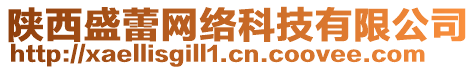 陜西盛蕾網(wǎng)絡(luò)科技有限公司