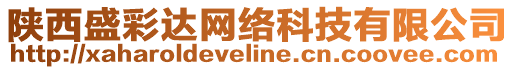 陜西盛彩達(dá)網(wǎng)絡(luò)科技有限公司