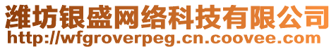 濰坊銀盛網(wǎng)絡(luò)科技有限公司