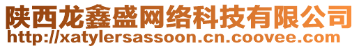 陜西龍鑫盛網(wǎng)絡科技有限公司