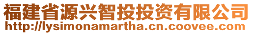 福建省源興智投投資有限公司