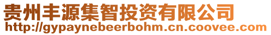 貴州豐源集智投資有限公司