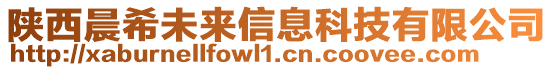 陜西晨希未來信息科技有限公司