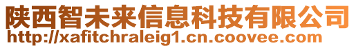 陜西智未來(lái)信息科技有限公司