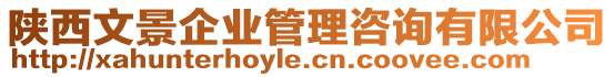 陜西文景企業(yè)管理咨詢有限公司